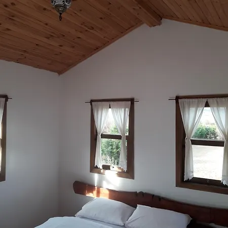 Frühstückspension Vira Creek House