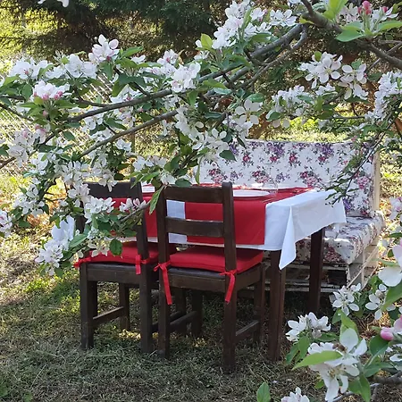 Vira Creek House 3*