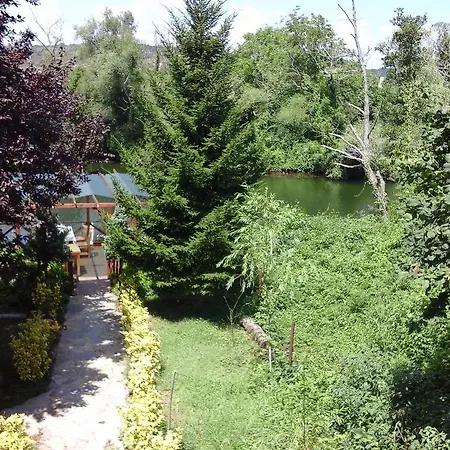 Frühstückspension Vira Creek House