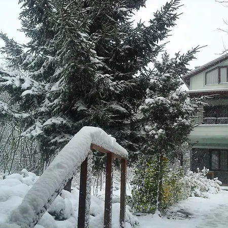 Vira Creek House Frühstückspension 3*