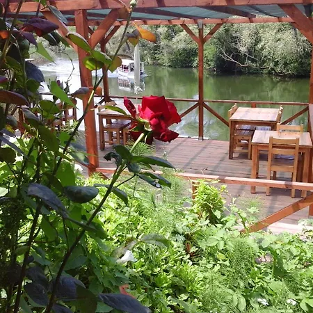 Vira Creek House Ağva