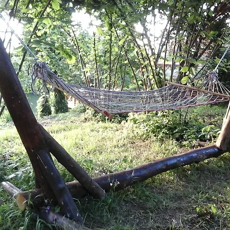 Bed & Breakfast Vira Creek House 3*