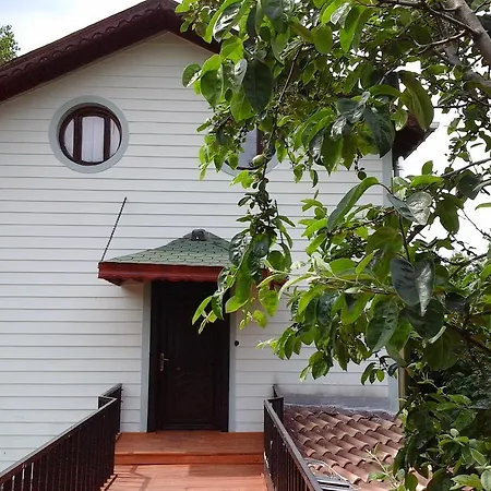 Vira Creek House