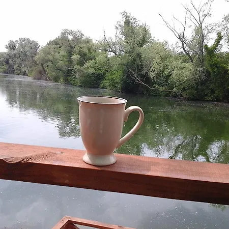 Vira Creek House Agva (Marmara)