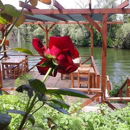 Bed & Breakfast Vira Creek House