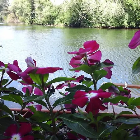 Bed & Breakfast Vira Creek House